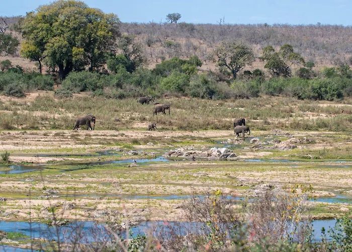 Foxy Crocodile Bush Lodge & Kruger Safari\'S - No Loadshedding