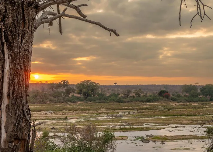 Foxy Crocodile Bush Lodge & Kruger Safari\'S - No Loadshedding