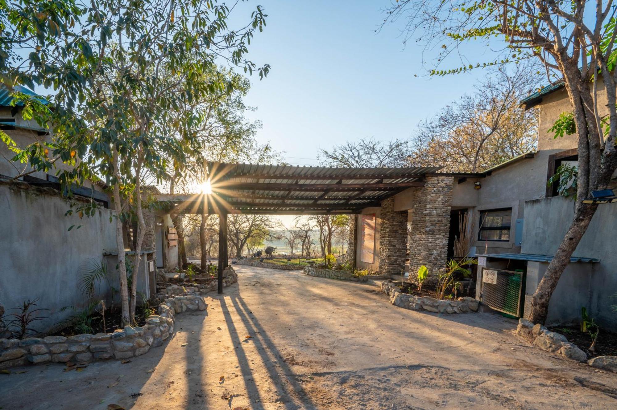 Foxy Crocodile Bush & Kruger Safari's - No Loadshedding *