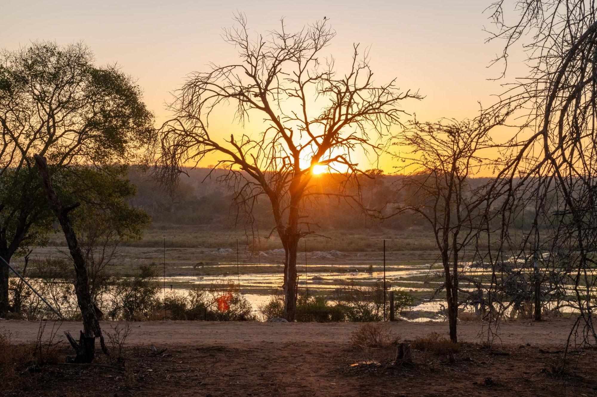Foxy Crocodile Bush & Kruger Safari's - No Loadshedding Lodge Marloth Park