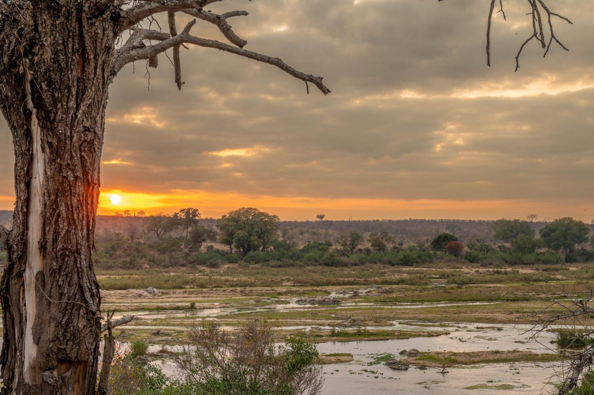 Foxy Crocodile Bush & Kruger Safari's - No Loadshedding Lodge *