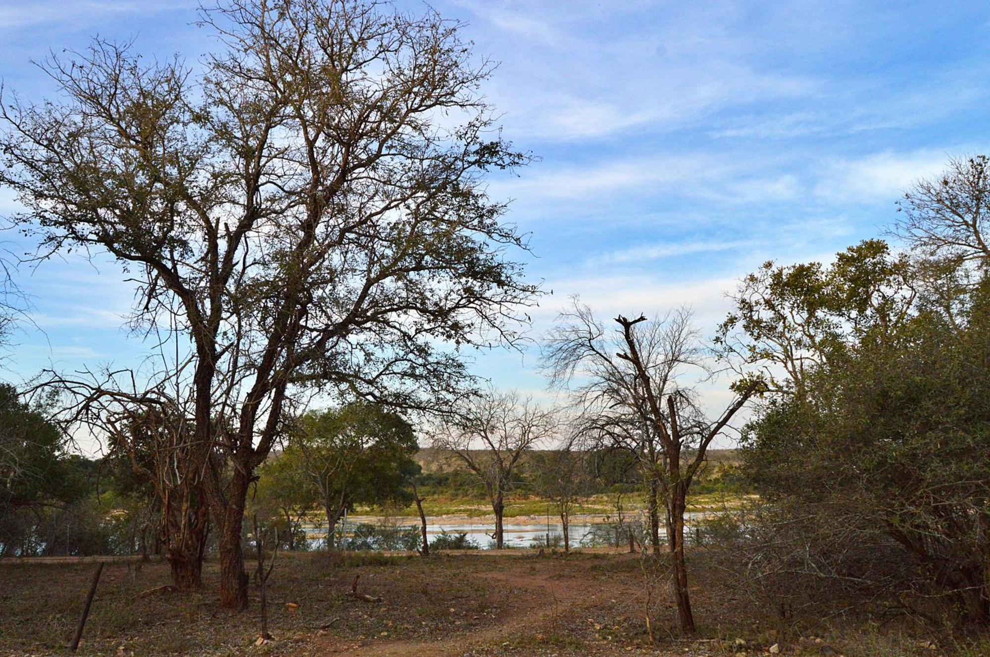 Foxy Crocodile Bush & Kruger Safari's - No Loadshedding *