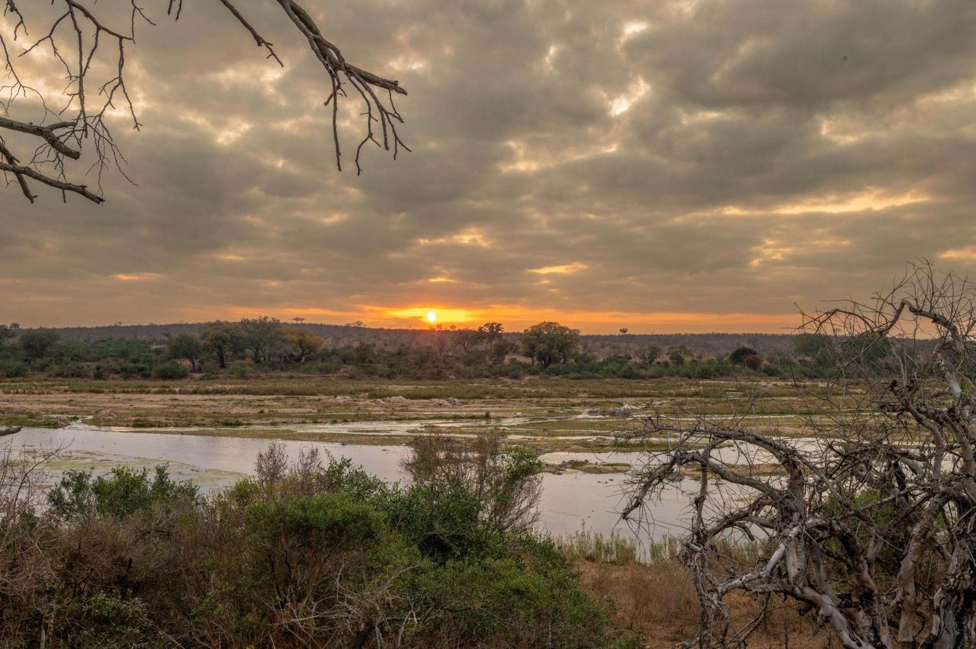 Foxy Crocodile Bush & Kruger Safari's - No Loadshedding