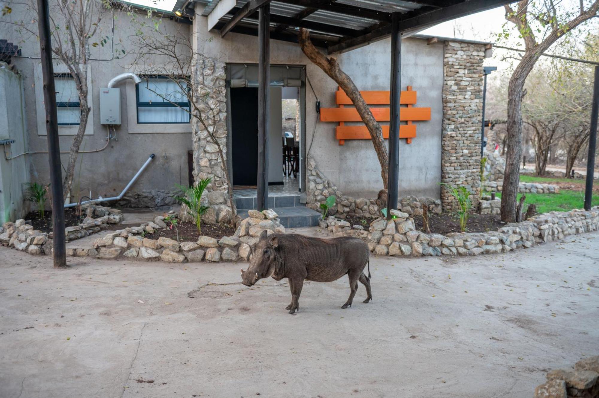 Lodge Foxy Crocodile Bush & Kruger Safari's - No Loadshedding