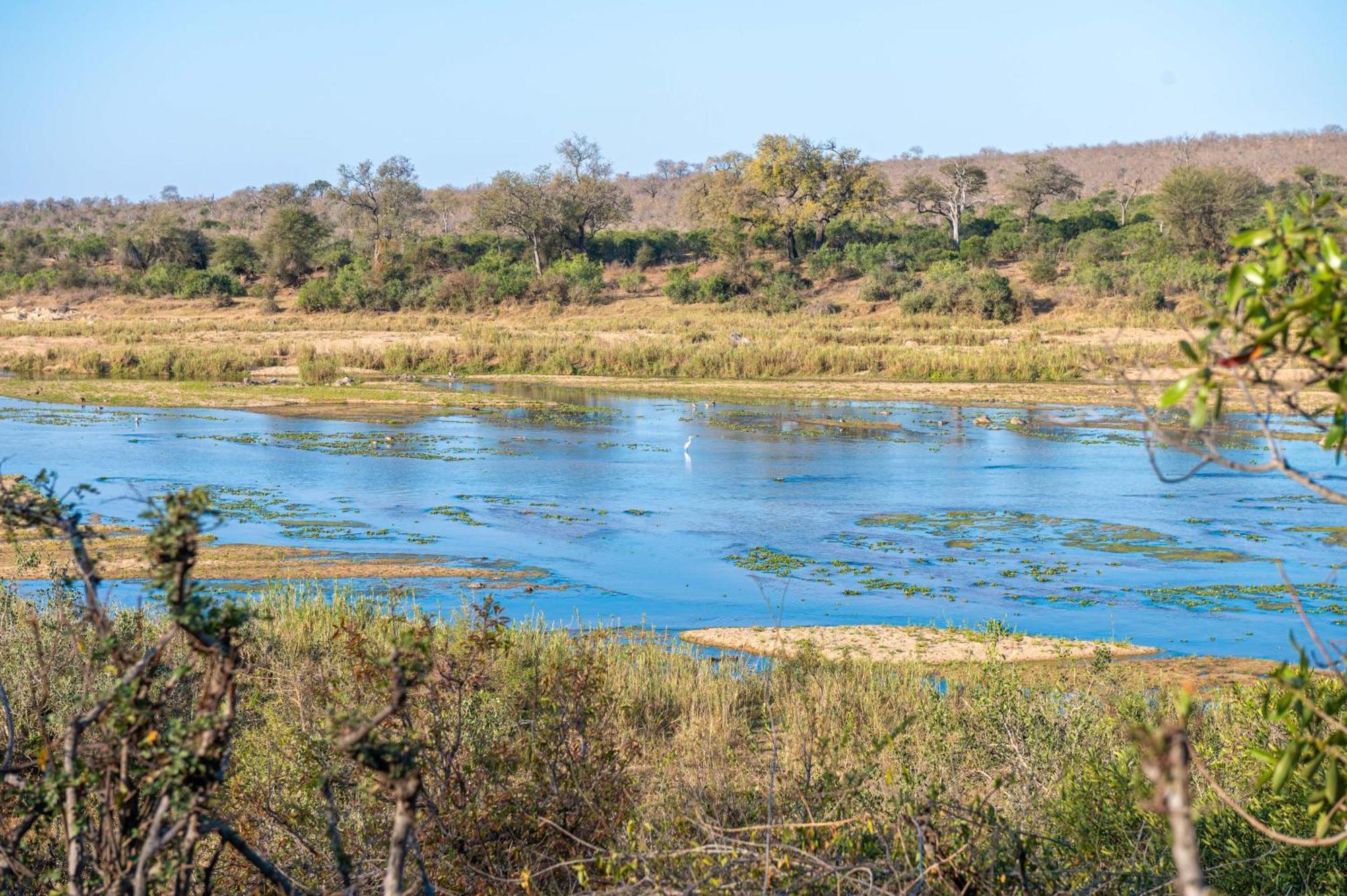 Foxy Crocodile Bush & Kruger Safari's - No Loadshedding Marloth Park