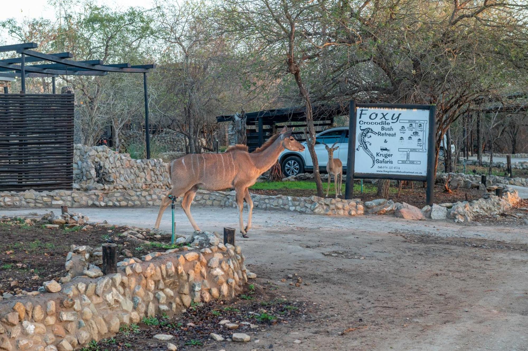 Foxy Crocodile Bush & Kruger Safari's - No Loadshedding * Marloth Park