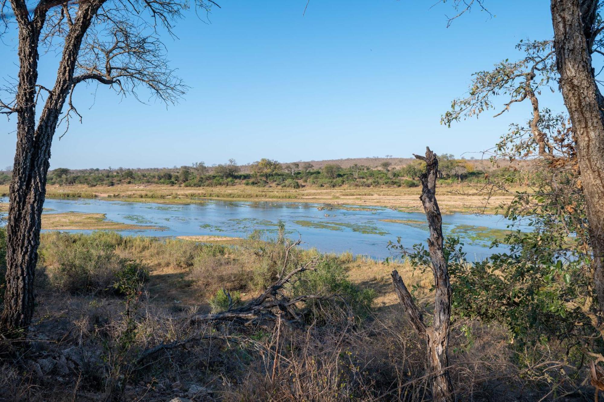 Foxy Crocodile Bush & Kruger Safari's - No Loadshedding Lodge